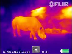 photo montrant l'affichage du viseur de la caméra thermique scout tk de chez flir